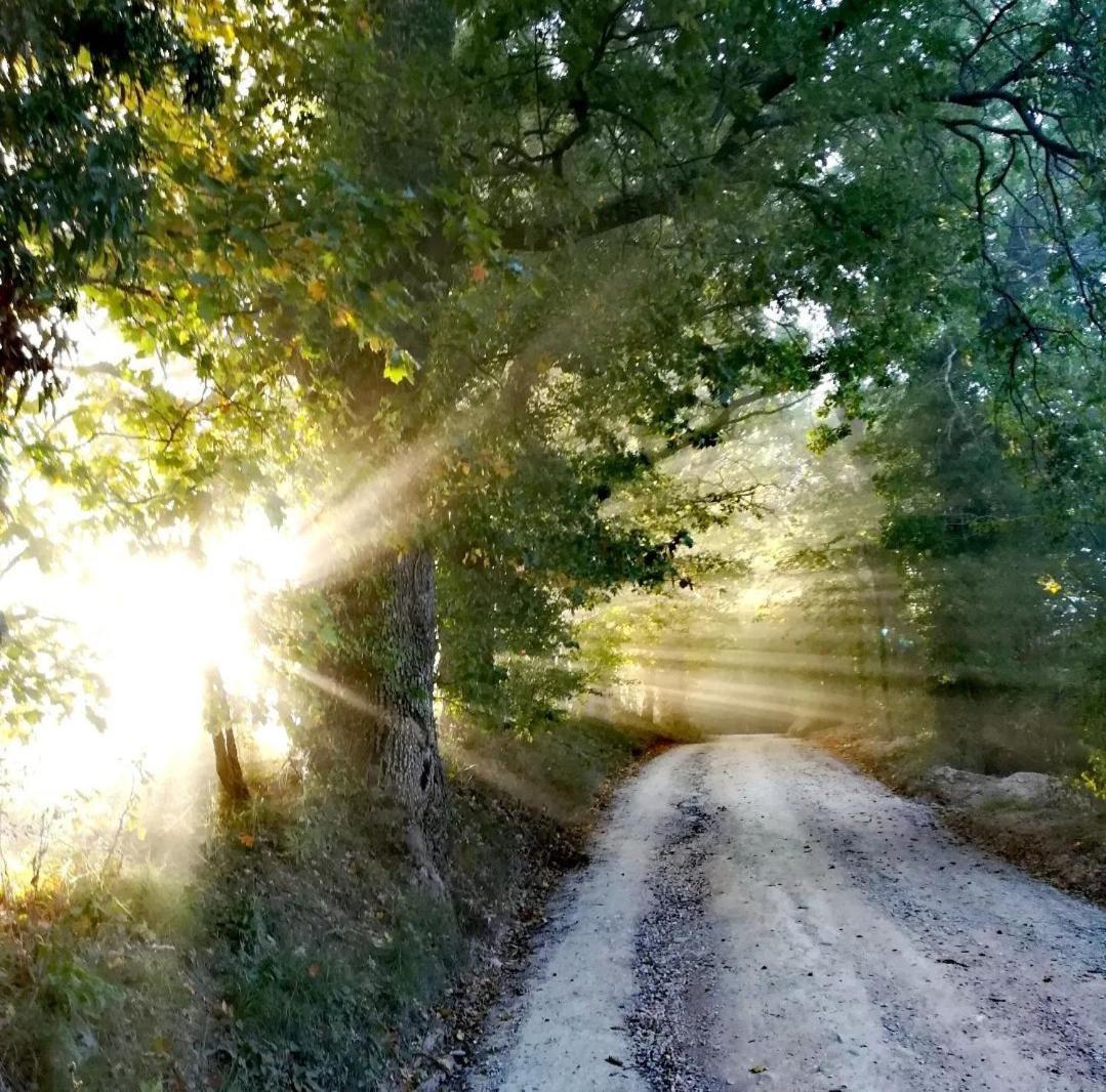 La Quercia Incantata Камерино Экстерьер фото